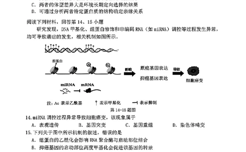浙江省衢州、丽水、湖州三地市二模2025年4月高三教学质量检测生物+答案_2025年4月_250413浙江省衢州、丽水、湖州三地市二模2025年4月高三教学质量检测（全科）