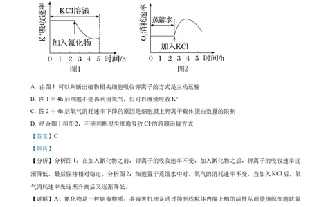 树德中学2025-2026学年高三上学期10月月考+生物答案_2025年10月_251017四川省成都市树德中学2025-2026学年高三上学期10月月考