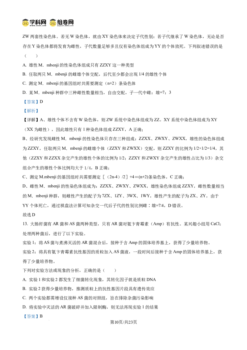 树德中学2025-2026学年高三上学期10月月考+生物答案_2025年10月_251017四川省成都市树德中学2025-2026学年高三上学期10月月考