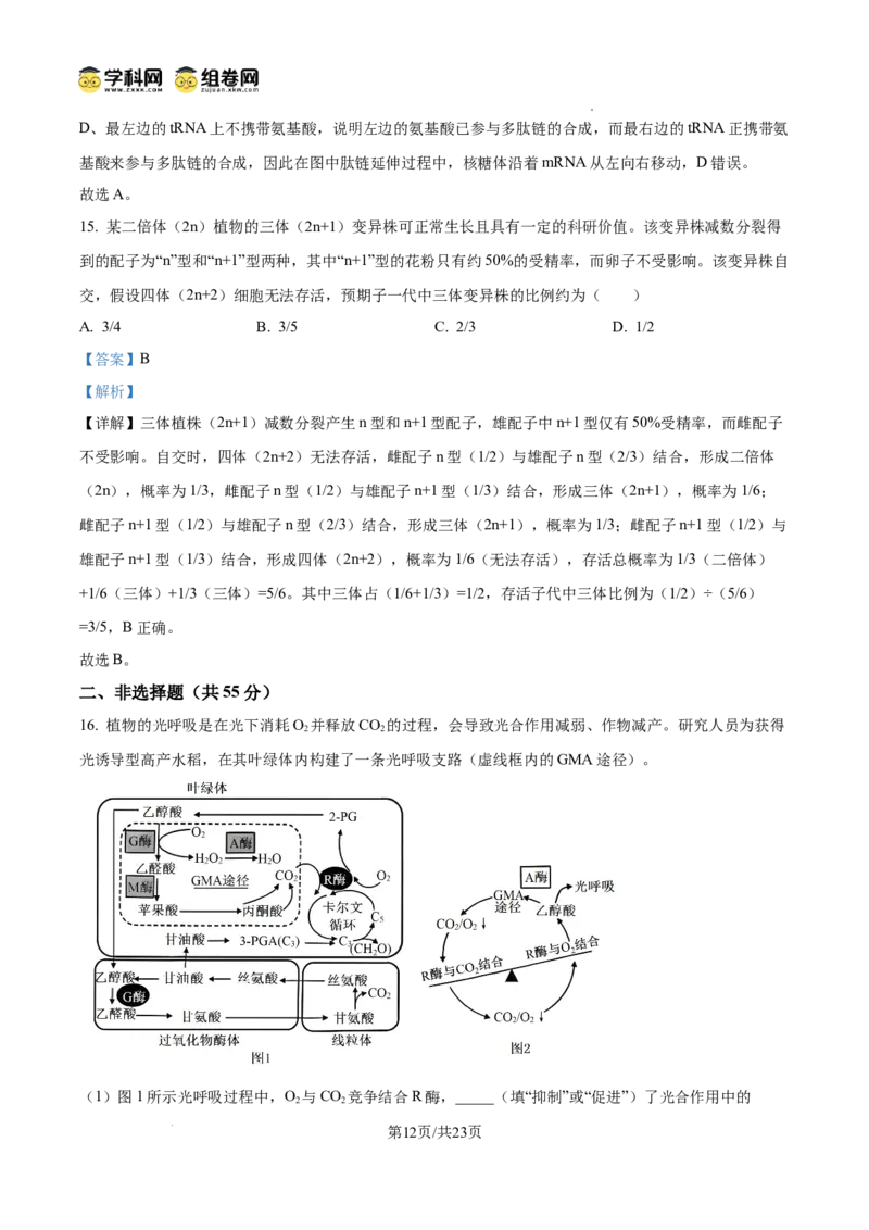 树德中学2025-2026学年高三上学期10月月考+生物答案_2025年10月_251017四川省成都市树德中学2025-2026学年高三上学期10月月考