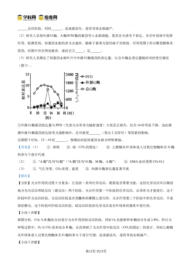 树德中学2025-2026学年高三上学期10月月考+生物答案_2025年10月_251017四川省成都市树德中学2025-2026学年高三上学期10月月考