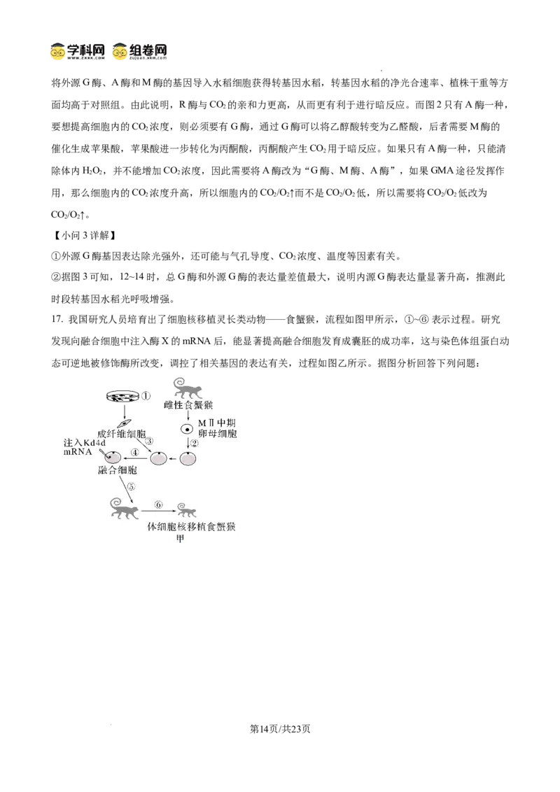 树德中学2025-2026学年高三上学期10月月考+生物答案_2025年10月_251017四川省成都市树德中学2025-2026学年高三上学期10月月考