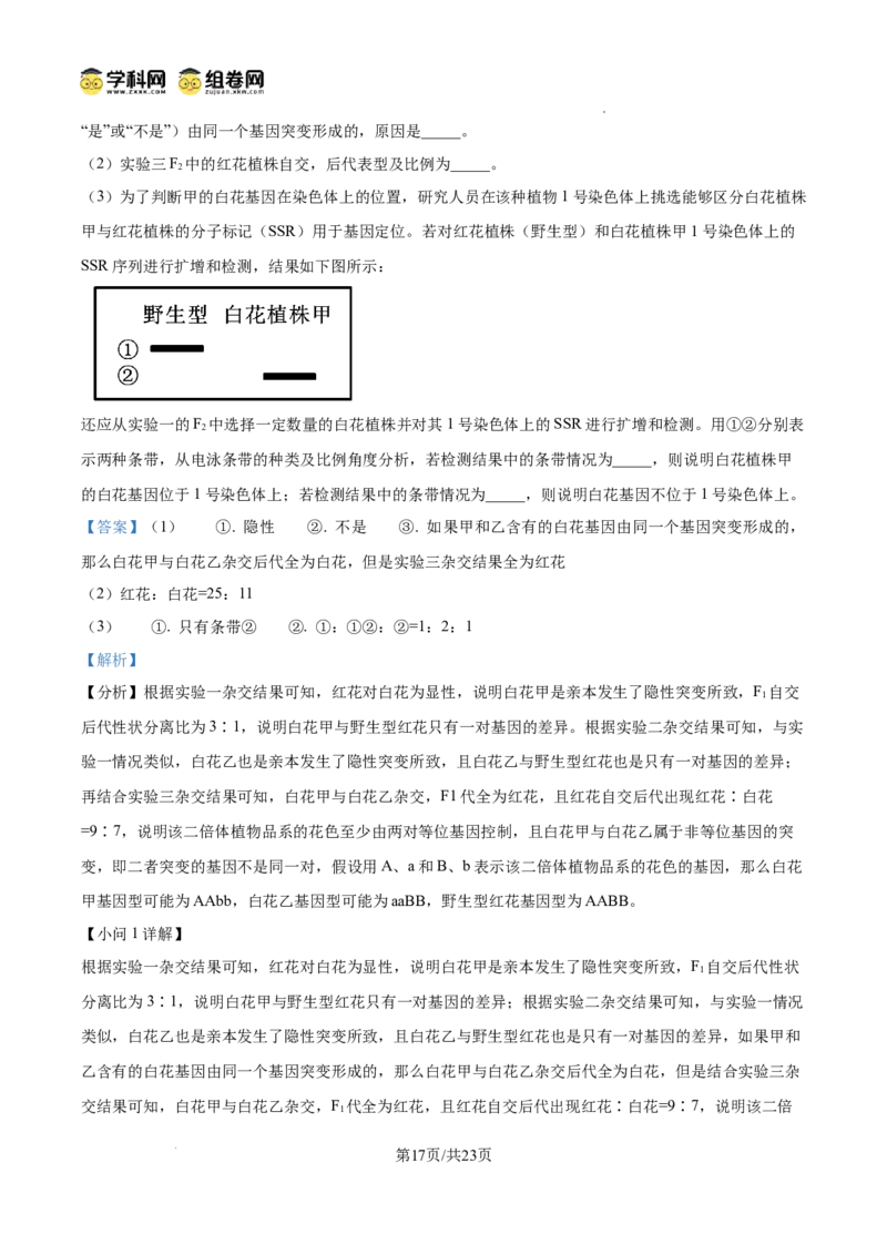 树德中学2025-2026学年高三上学期10月月考+生物答案_2025年10月_251017四川省成都市树德中学2025-2026学年高三上学期10月月考