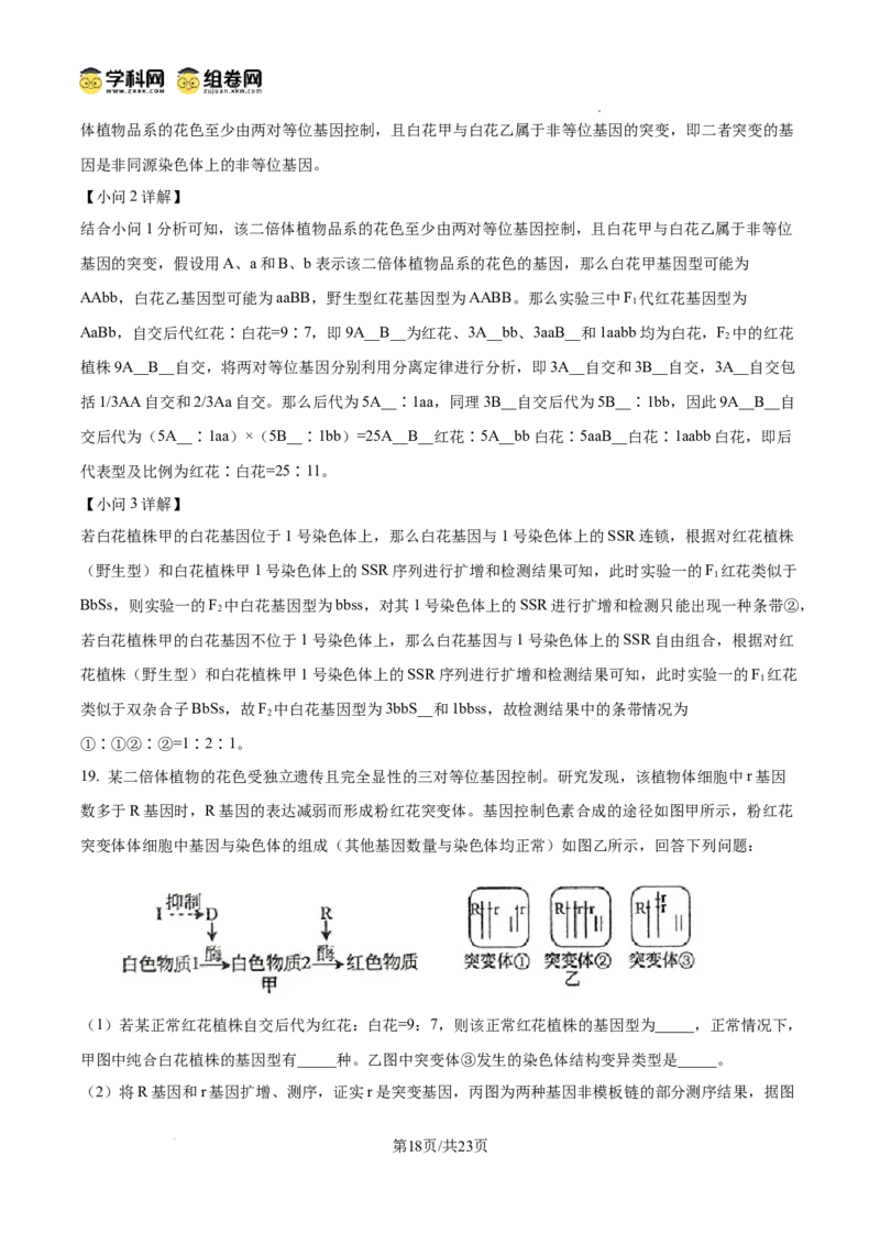 树德中学2025-2026学年高三上学期10月月考+生物答案_2025年10月_251017四川省成都市树德中学2025-2026学年高三上学期10月月考