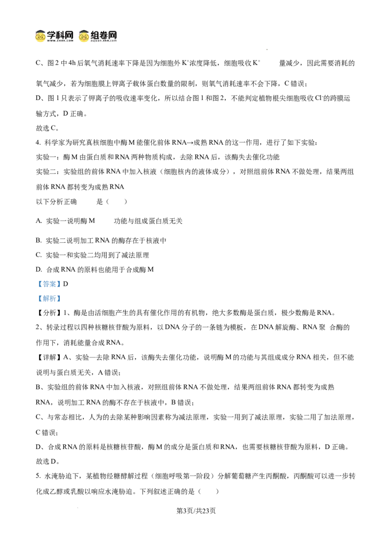 树德中学2025-2026学年高三上学期10月月考+生物答案_2025年10月_251017四川省成都市树德中学2025-2026学年高三上学期10月月考