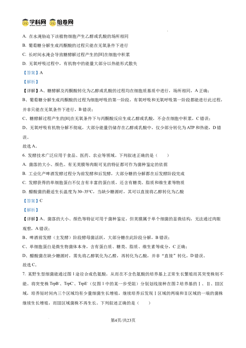 树德中学2025-2026学年高三上学期10月月考+生物答案_2025年10月_251017四川省成都市树德中学2025-2026学年高三上学期10月月考