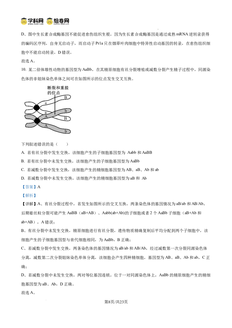树德中学2025-2026学年高三上学期10月月考+生物答案_2025年10月_251017四川省成都市树德中学2025-2026学年高三上学期10月月考