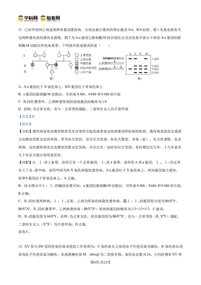 树德中学2025-2026学年高三上学期10月月考+生物答案_2025年10月_251017四川省成都市树德中学2025-2026学年高三上学期10月月考