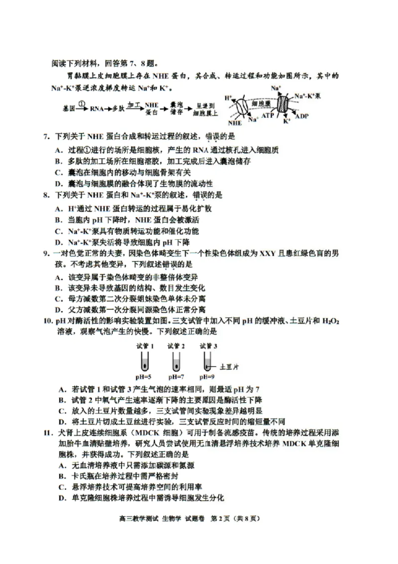浙江省嘉兴市2025届高三下学期4月教学测试生物+答案_2025年4月_250410浙江省嘉兴市2025届高三下学期4月教学测试（嘉兴二模）（全科）