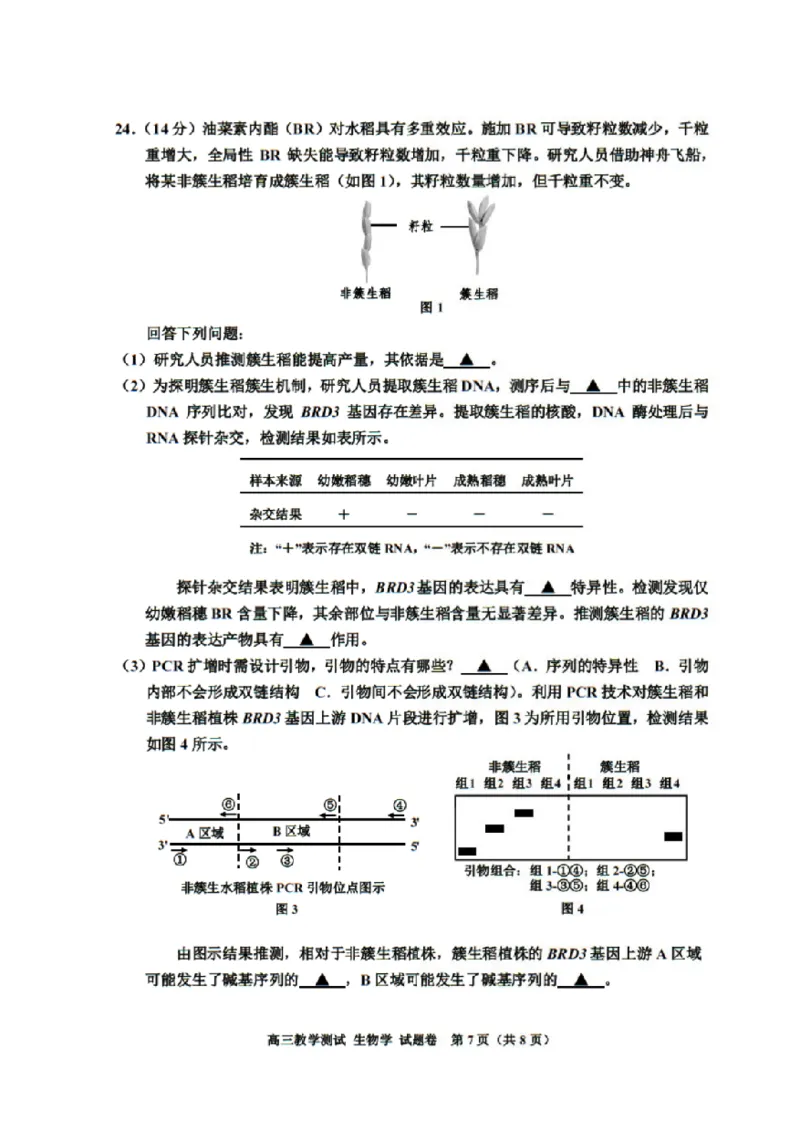 浙江省嘉兴市2025届高三下学期4月教学测试生物+答案_2025年4月_250410浙江省嘉兴市2025届高三下学期4月教学测试（嘉兴二模）（全科）