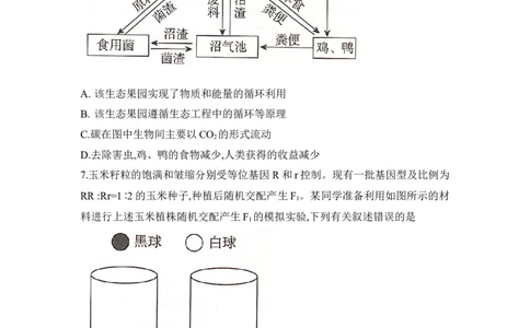 湖南省2025届高考&ldquo;一起考&rdquo;大联考第二次模拟生物试题word版_2025年4月_2504062025届湖南省部分学校高三&ldquo;一起考&rdquo;大联考（模拟二）（全科）