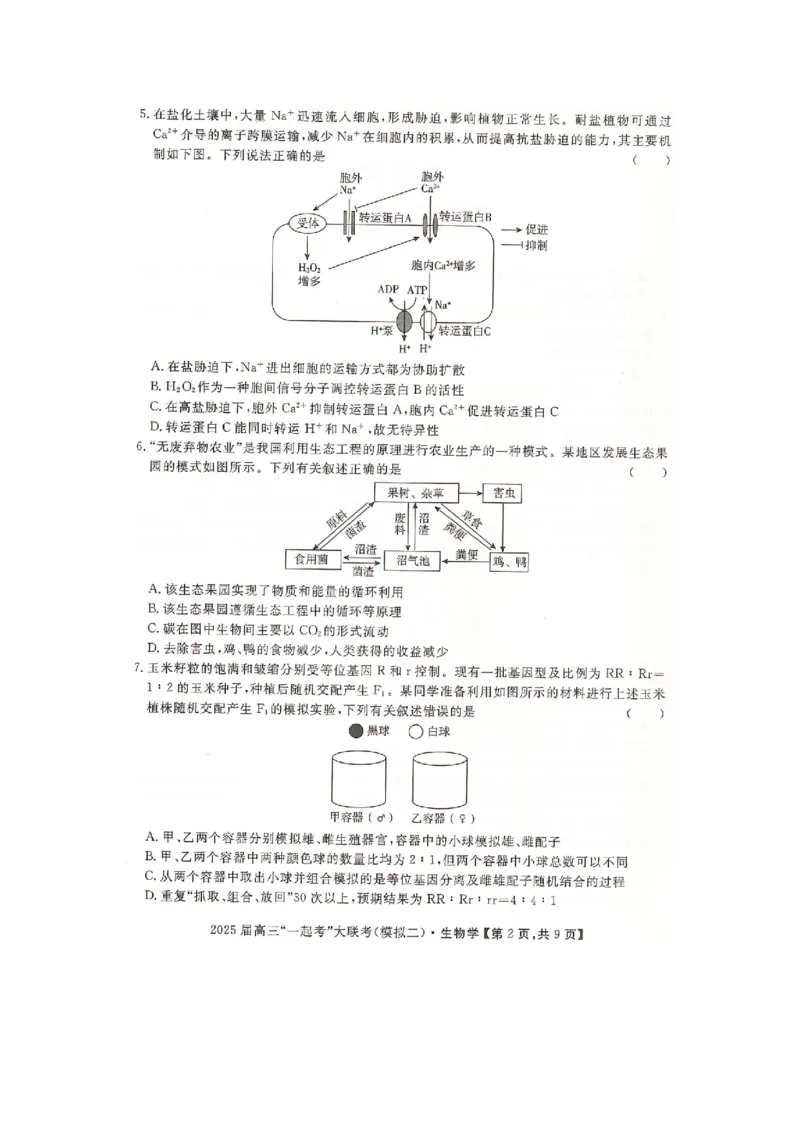 湖南省2025届高考&ldquo;一起考&rdquo;大联考第二次模拟生物试题word版_2025年4月_2504062025届湖南省部分学校高三&ldquo;一起考&rdquo;大联考（模拟二）（全科）