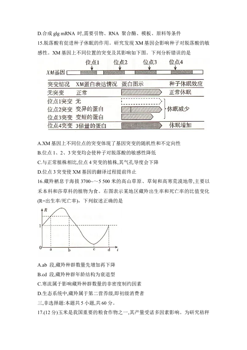 湖南省2025届高考&ldquo;一起考&rdquo;大联考第二次模拟生物试题word版_2025年4月_2504062025届湖南省部分学校高三&ldquo;一起考&rdquo;大联考（模拟二）（全科）