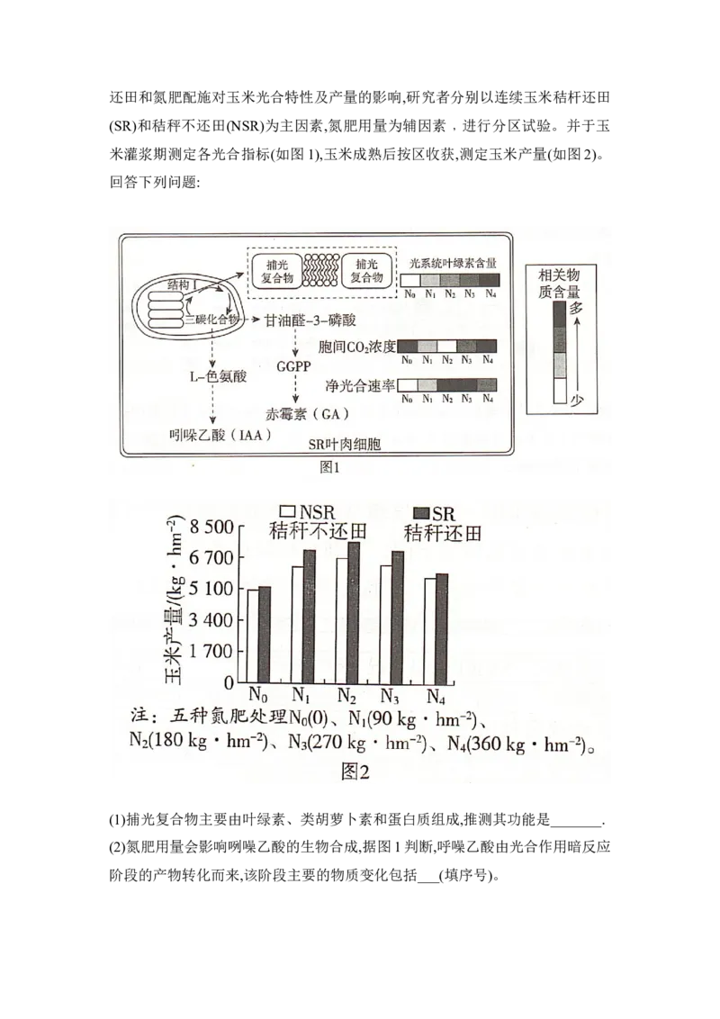 湖南省2025届高考&ldquo;一起考&rdquo;大联考第二次模拟生物试题word版_2025年4月_2504062025届湖南省部分学校高三&ldquo;一起考&rdquo;大联考（模拟二）（全科）