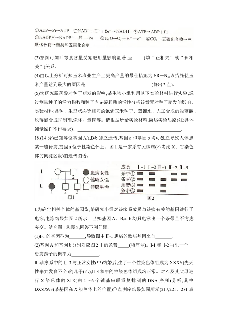 湖南省2025届高考&ldquo;一起考&rdquo;大联考第二次模拟生物试题word版_2025年4月_2504062025届湖南省部分学校高三&ldquo;一起考&rdquo;大联考（模拟二）（全科）
