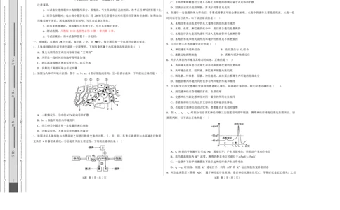 高二生物第一次月考卷测试范围：人教版2019选择性必修1第1章~第3章（考试版A3）_1多考区联考试卷_2510142025-2026学年高二生物上学期第一次月考试题