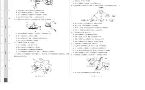 高二生物第一次月考卷测试范围：人教版2019选择性必修1第1章~第3章（考试版A3）_1多考区联考试卷_2510142025-2026学年高二生物上学期第一次月考试题
