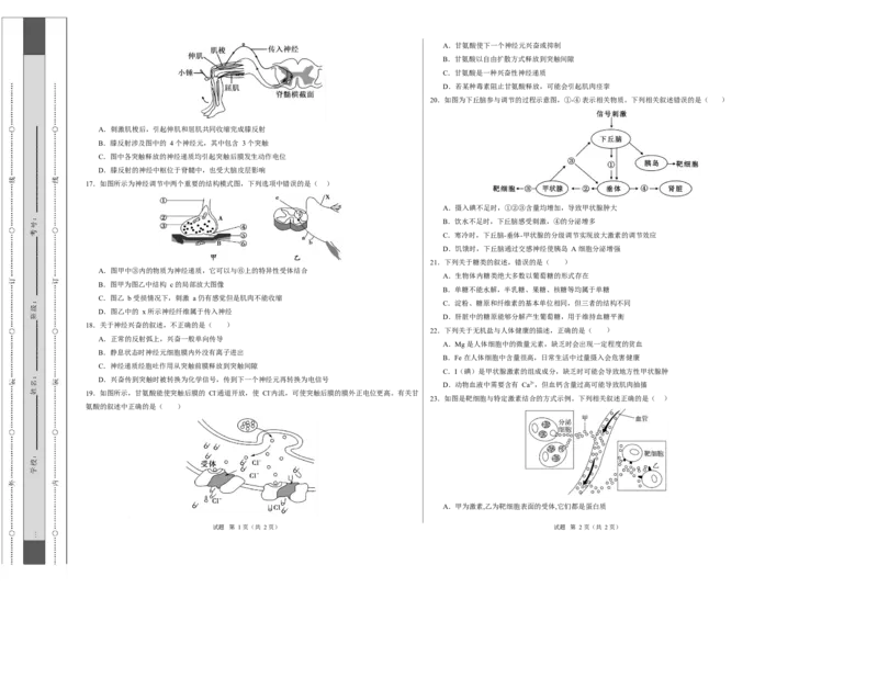 高二生物第一次月考卷测试范围：人教版2019选择性必修1第1章~第3章（考试版A3）_1多考区联考试卷_2510142025-2026学年高二生物上学期第一次月考试题