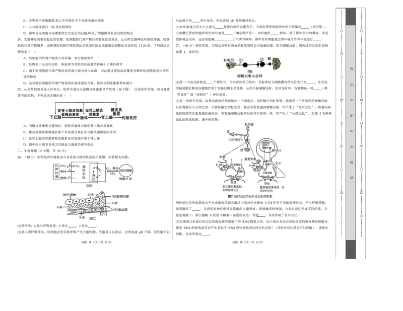 高二生物第一次月考卷测试范围：人教版2019选择性必修1第1章~第3章（考试版A3）_1多考区联考试卷_2510142025-2026学年高二生物上学期第一次月考试题