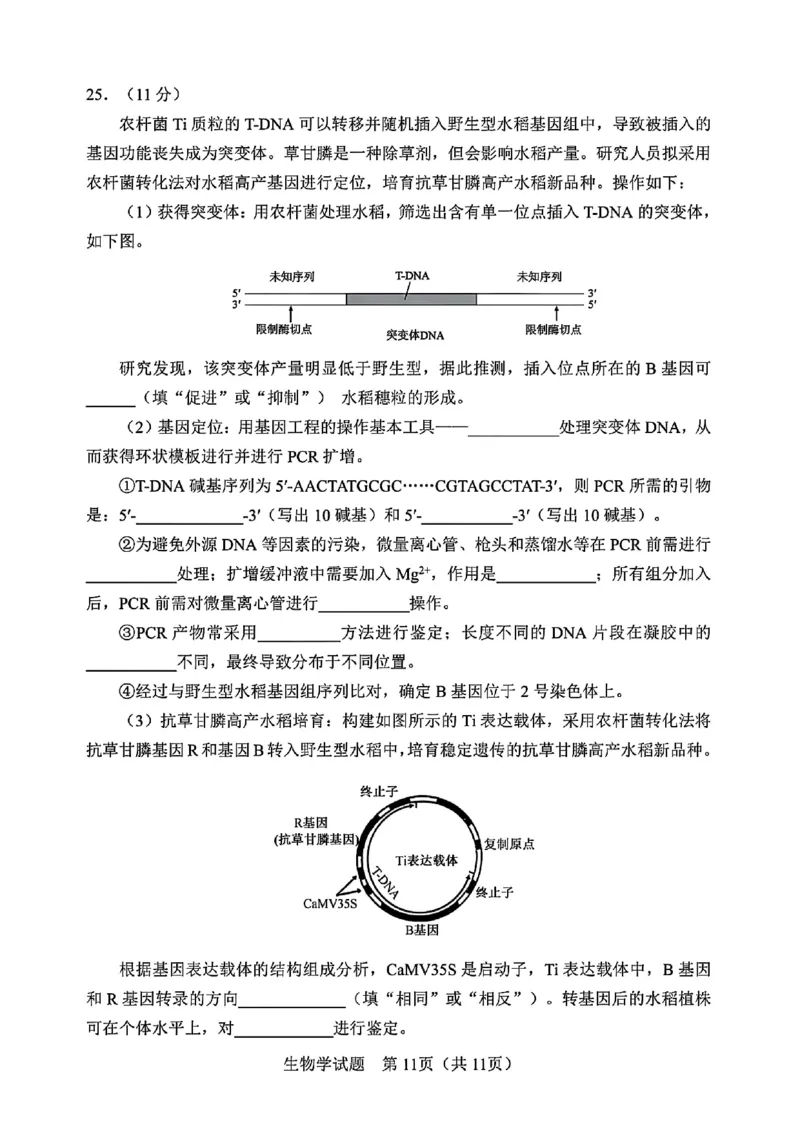 吉林省长春市2025届高三质量监测（四）生物试卷+答案_2025年5月_250511吉林省长春市2025届高三质量监测（四）（长春四模）（全科）