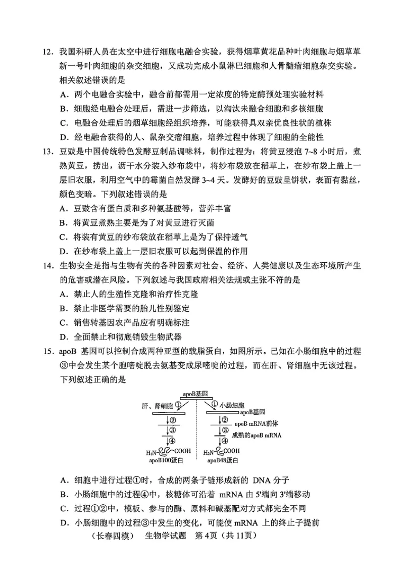 吉林省长春市2025届高三质量监测（四）生物试卷+答案_2025年5月_250511吉林省长春市2025届高三质量监测（四）（长春四模）（全科）