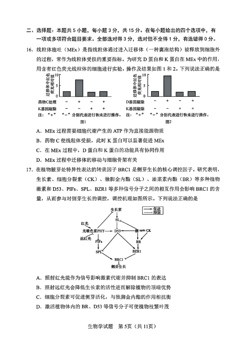 吉林省长春市2025届高三质量监测（四）生物试卷+答案_2025年5月_250511吉林省长春市2025届高三质量监测（四）（长春四模）（全科）