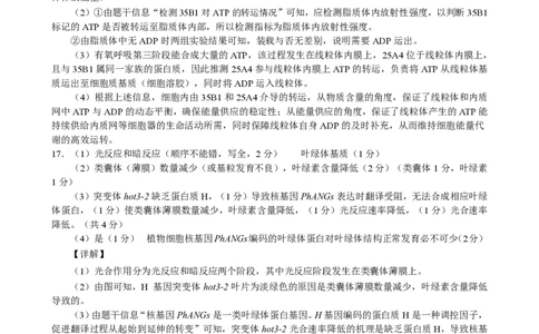 生物答案详解_2025年11月_251119福建省全国名校联盟2026届高三上学期中考试（全科）_福建省全国名校联盟2026届高三上学期中考试生物