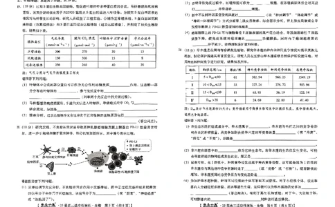 生物_2025年4月_250428琢名小渔河北琢名小渔名校联考普通高中2025届高三年级适应性演练考_2025届琢名小渔名校联考高三适应性考试生物试题