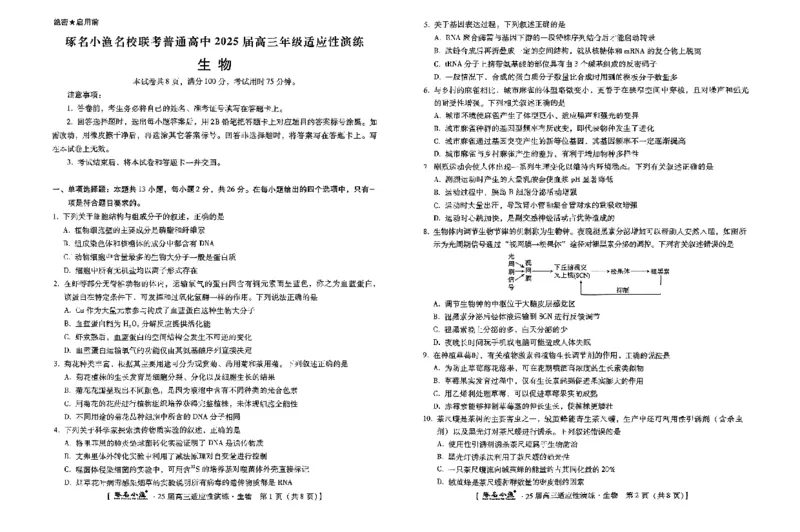 生物_2025年4月_250428琢名小渔河北琢名小渔名校联考普通高中2025届高三年级适应性演练考_2025届琢名小渔名校联考高三适应性考试生物试题