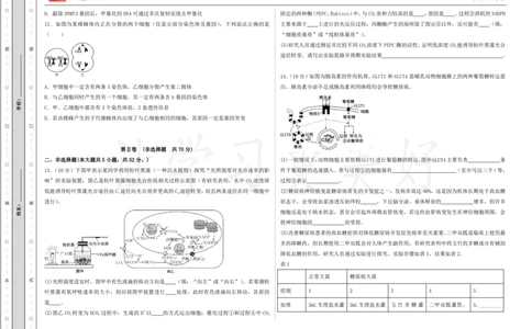(8.48)-点睛押题卷&mdash;&mdash;天津卷_2024高考押题卷_132024高途全系列_26高途点睛卷_2024点睛密卷-生物