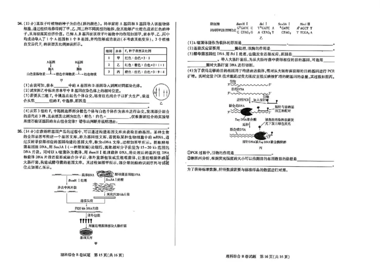2023高考快递临考（全国卷新教材）理综试卷B_2023高考押题卷_2023高考快递临考（全国卷新教材）