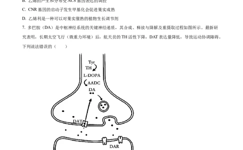 广东省深圳市龙华区2024-2025学年高二下学期期末调研测试生物试题（含答案）_2025年8月_250804广东省深圳市龙华区2024-2025学年高二下学期期末调研测试