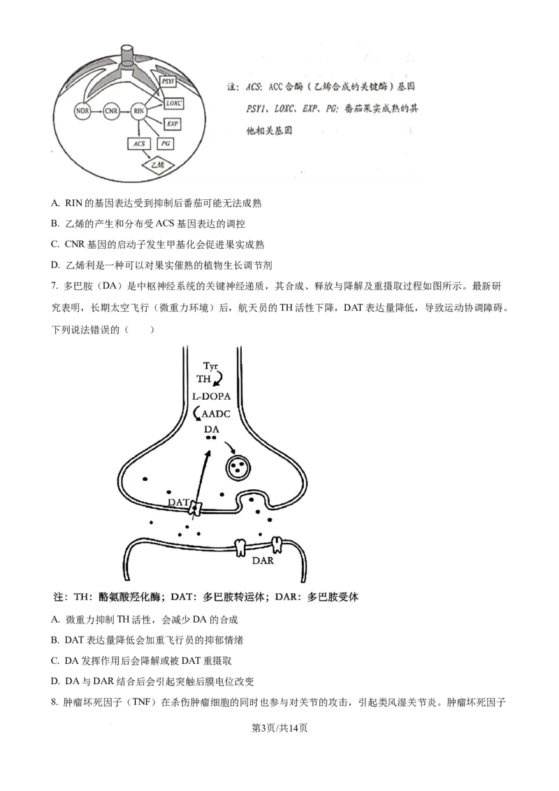 广东省深圳市龙华区2024-2025学年高二下学期期末调研测试生物试题（含答案）_2025年8月_250804广东省深圳市龙华区2024-2025学年高二下学期期末调研测试