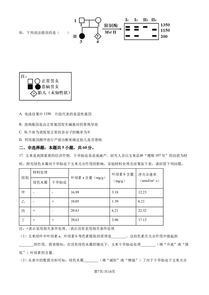 广东省深圳市龙华区2024-2025学年高二下学期期末调研测试生物试题（含答案）_2025年8月_250804广东省深圳市龙华区2024-2025学年高二下学期期末调研测试
