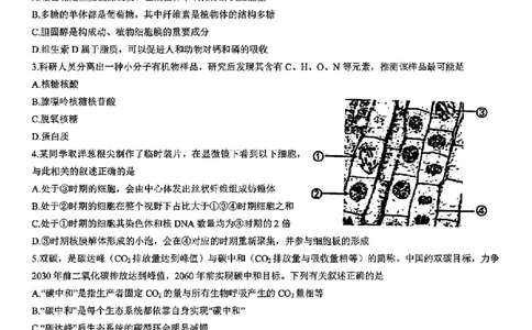 浙江省宁波镇海中学2025届高三1月首考模拟最后一卷生物试卷_2025年1月_250102浙江省宁波镇海中学2025届高三1月首考模拟最后一卷