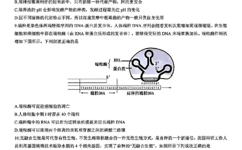 浙江省宁波镇海中学2025届高三1月首考模拟最后一卷生物试卷_2025年1月_250102浙江省宁波镇海中学2025届高三1月首考模拟最后一卷