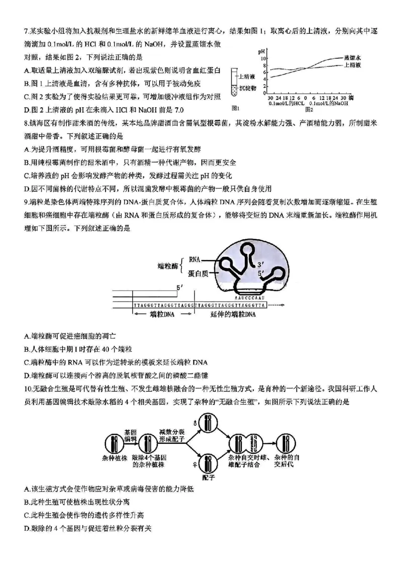 浙江省宁波镇海中学2025届高三1月首考模拟最后一卷生物试卷_2025年1月_250102浙江省宁波镇海中学2025届高三1月首考模拟最后一卷