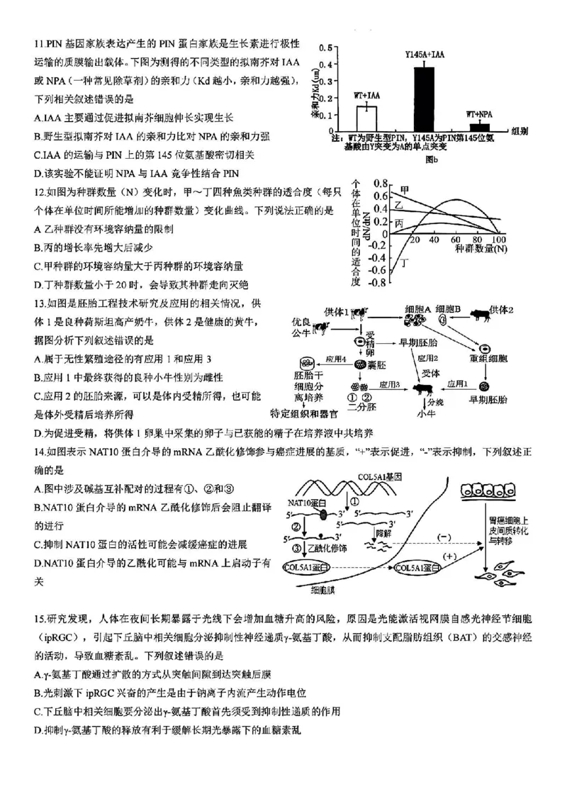 浙江省宁波镇海中学2025届高三1月首考模拟最后一卷生物试卷_2025年1月_250102浙江省宁波镇海中学2025届高三1月首考模拟最后一卷