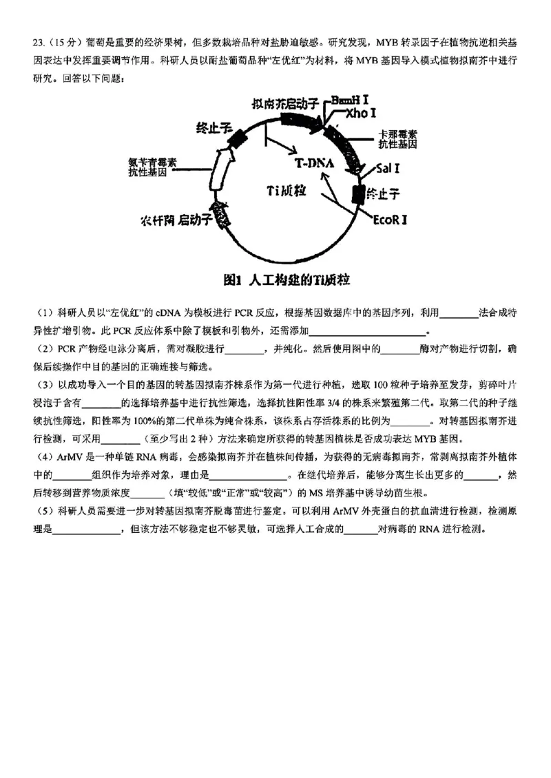 浙江省宁波镇海中学2025届高三1月首考模拟最后一卷生物试卷_2025年1月_250102浙江省宁波镇海中学2025届高三1月首考模拟最后一卷