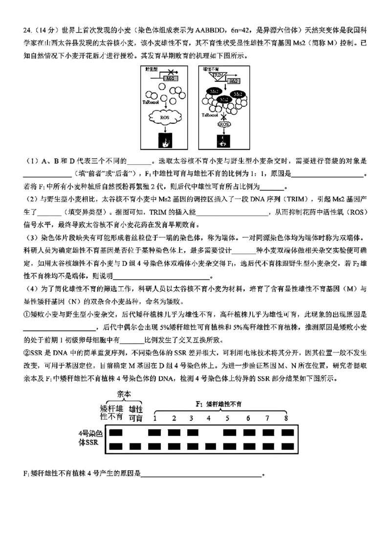 浙江省宁波镇海中学2025届高三1月首考模拟最后一卷生物试卷_2025年1月_250102浙江省宁波镇海中学2025届高三1月首考模拟最后一卷