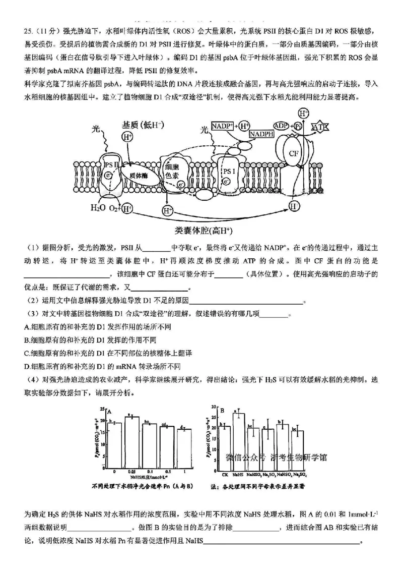 浙江省宁波镇海中学2025届高三1月首考模拟最后一卷生物试卷_2025年1月_250102浙江省宁波镇海中学2025届高三1月首考模拟最后一卷