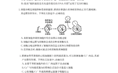 湖南省佩佩教育2025届2月高三开学联考生物_2025年2月_250217湖南省佩佩教育2025届2月高三开学联考（全科）_湖南省佩佩教育2025届2月高三开学联考生物