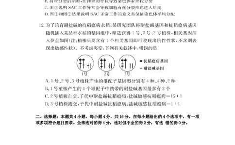 湖南省佩佩教育2025届2月高三开学联考生物_2025年2月_250217湖南省佩佩教育2025届2月高三开学联考（全科）_湖南省佩佩教育2025届2月高三开学联考生物