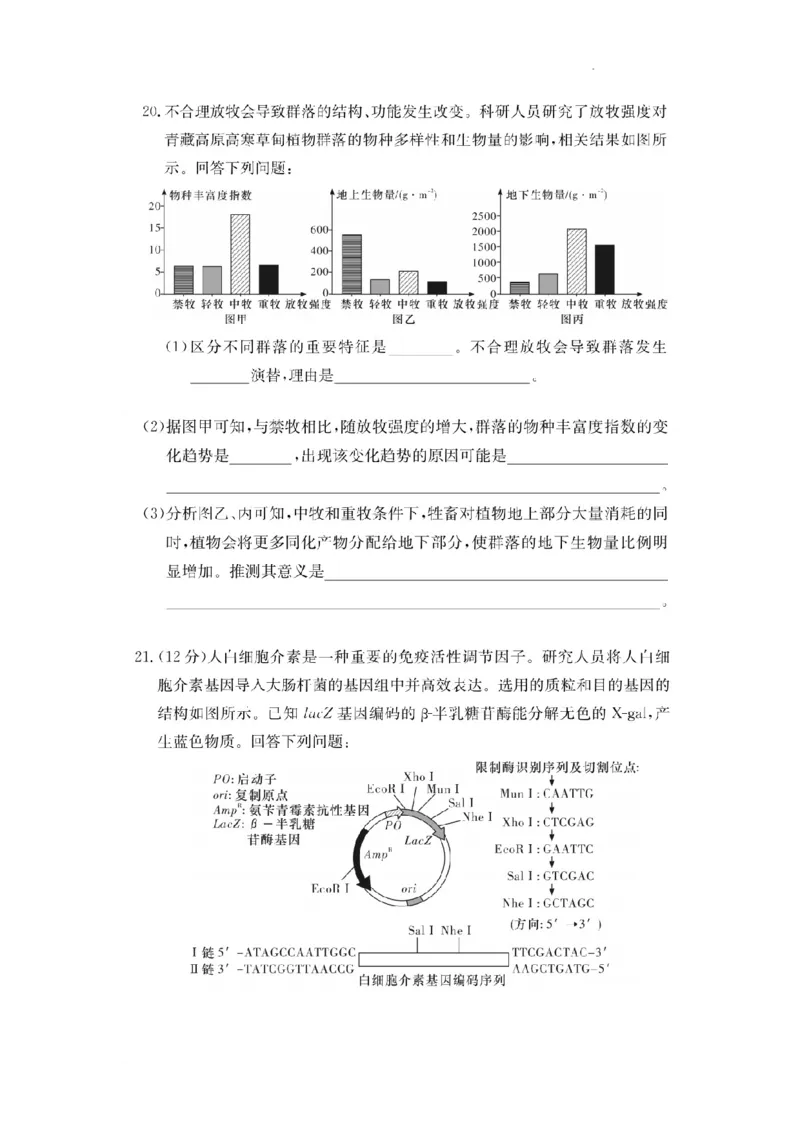 湖南省佩佩教育2025届2月高三开学联考生物_2025年2月_250217湖南省佩佩教育2025届2月高三开学联考（全科）_湖南省佩佩教育2025届2月高三开学联考生物
