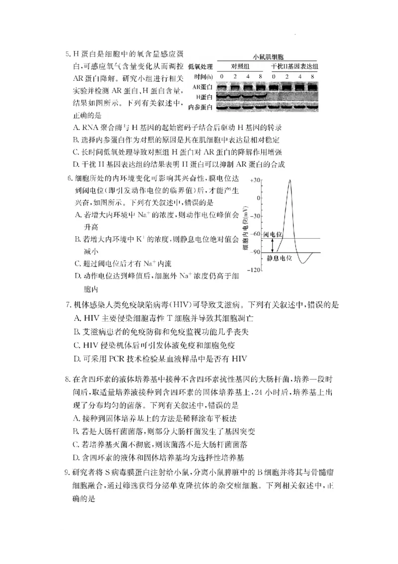 湖南省佩佩教育2025届2月高三开学联考生物_2025年2月_250217湖南省佩佩教育2025届2月高三开学联考（全科）_湖南省佩佩教育2025届2月高三开学联考生物