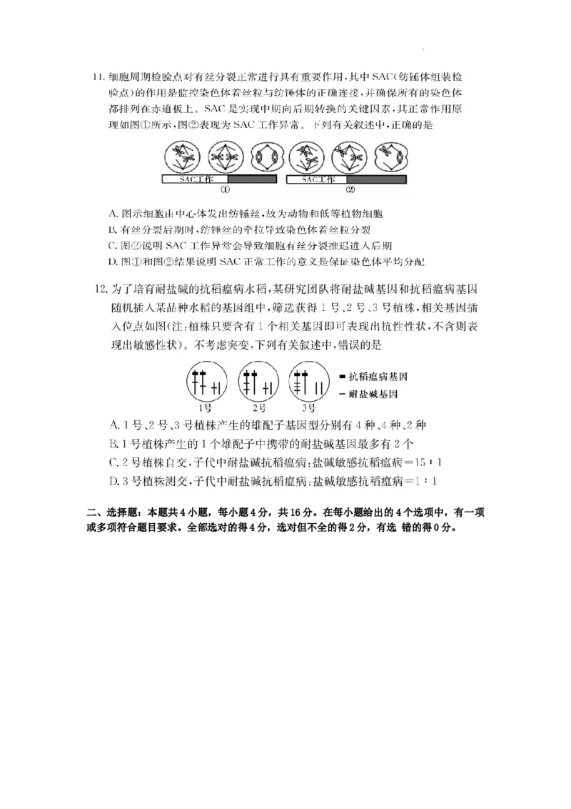 湖南省佩佩教育2025届2月高三开学联考生物_2025年2月_250217湖南省佩佩教育2025届2月高三开学联考（全科）_湖南省佩佩教育2025届2月高三开学联考生物