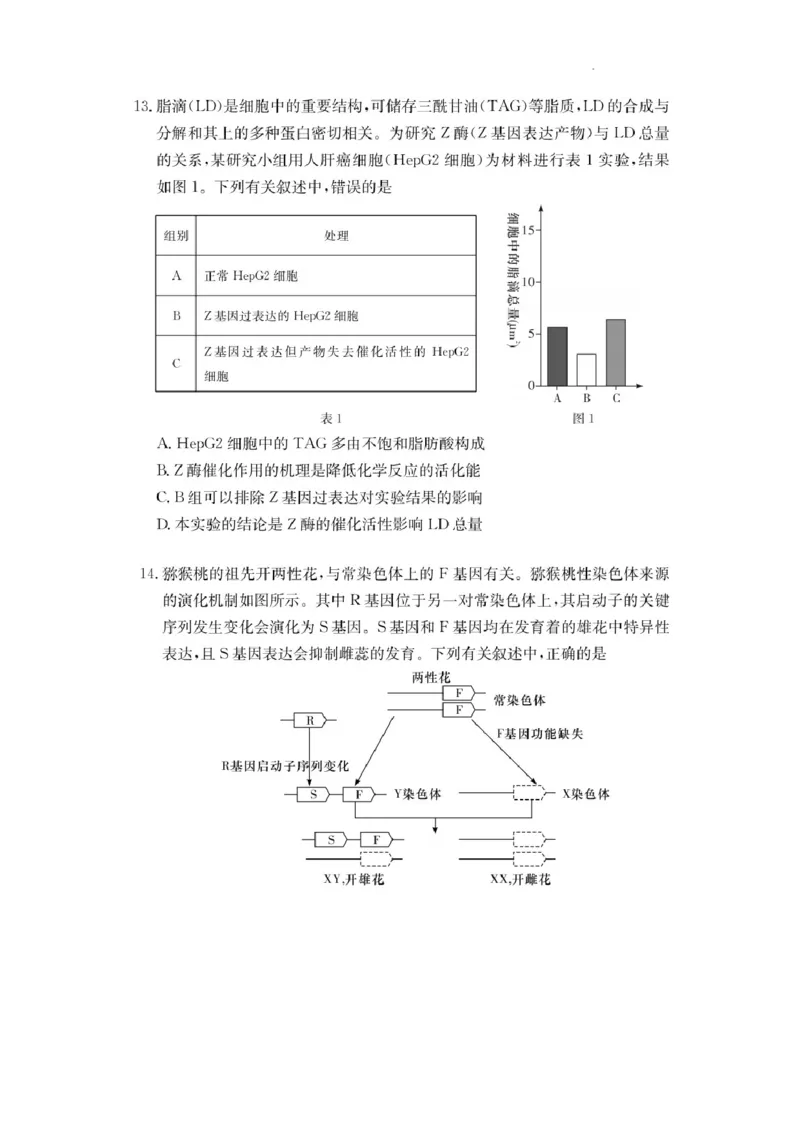 湖南省佩佩教育2025届2月高三开学联考生物_2025年2月_250217湖南省佩佩教育2025届2月高三开学联考（全科）_湖南省佩佩教育2025届2月高三开学联考生物