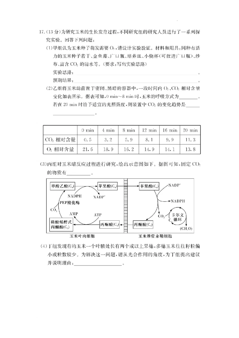 湖南省佩佩教育2025届2月高三开学联考生物_2025年2月_250217湖南省佩佩教育2025届2月高三开学联考（全科）_湖南省佩佩教育2025届2月高三开学联考生物