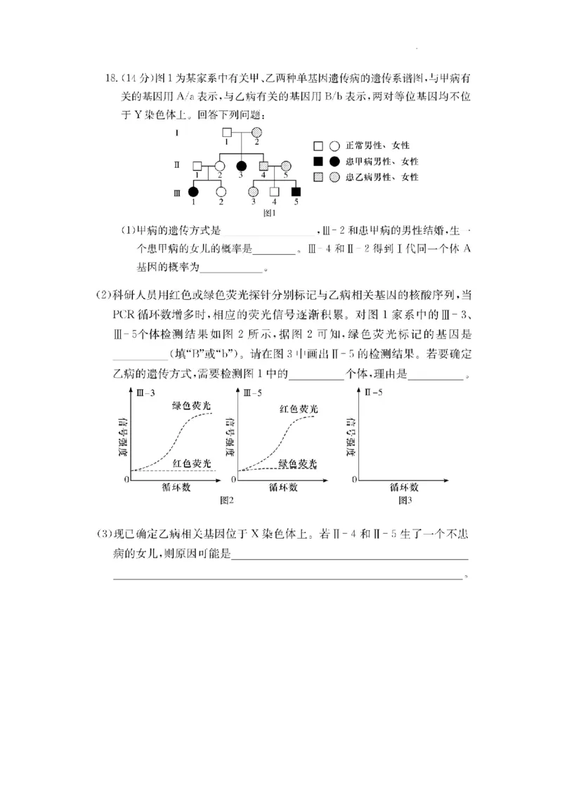 湖南省佩佩教育2025届2月高三开学联考生物_2025年2月_250217湖南省佩佩教育2025届2月高三开学联考（全科）_湖南省佩佩教育2025届2月高三开学联考生物