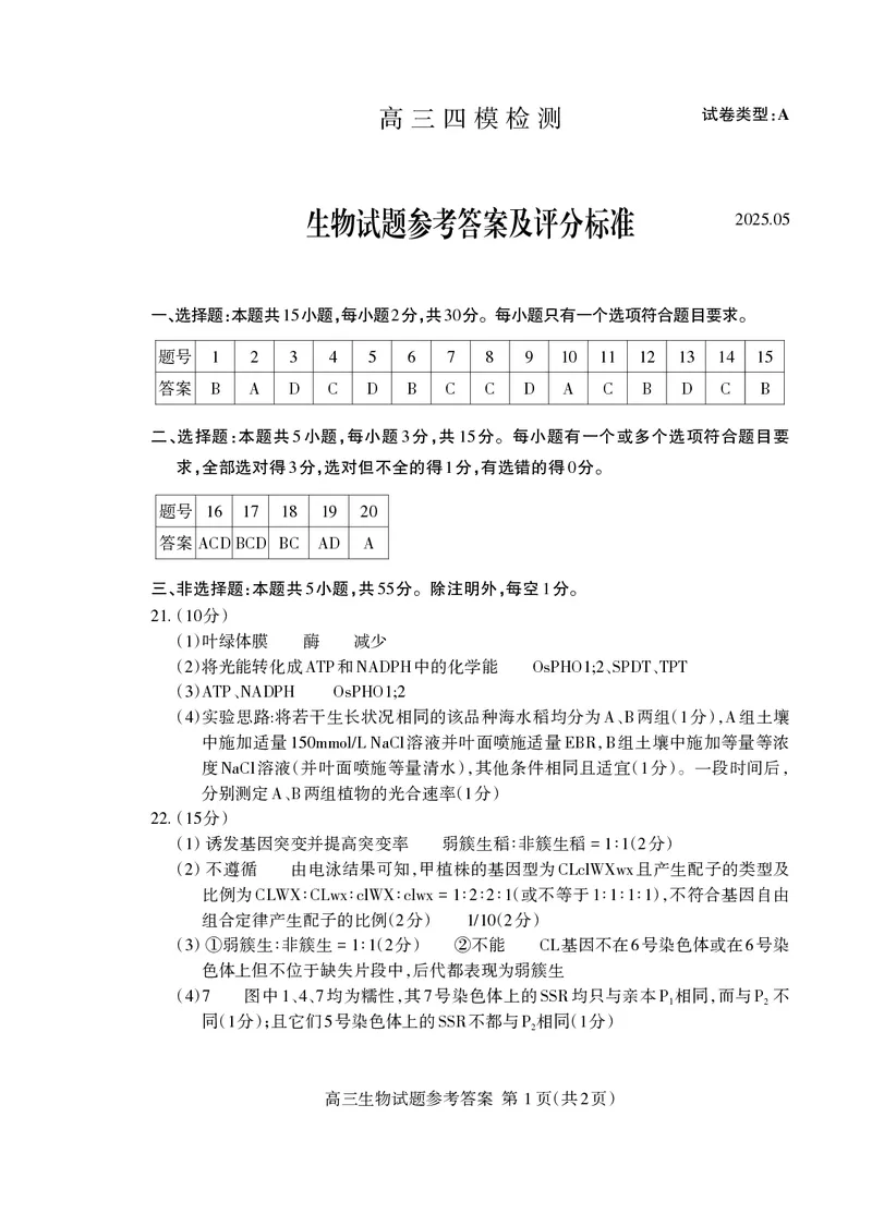 山东省泰安市2025届高三四模检测生物答案_2025年5月_250520山东省泰安市2025届高三四模检测（泰安四模）（全科）